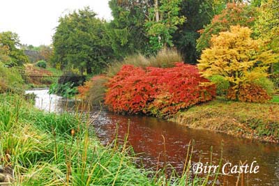 Birr Castle River Walk (4) - Irish Garden Plant Society