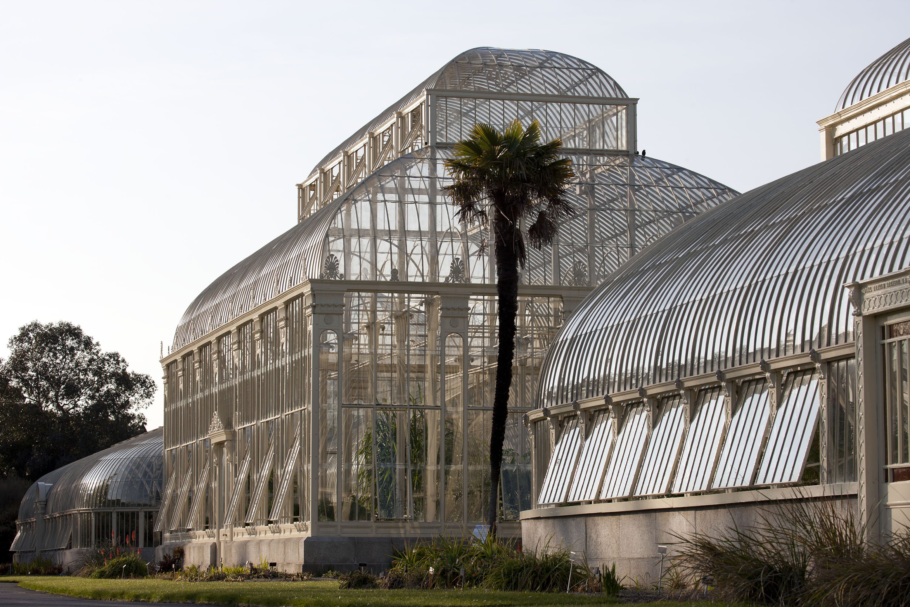 The curvilinear range of glasshouses at the National Botanic Gardens, Glasnevin, Dublin.