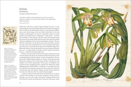 Remarkable-Plants-sample page