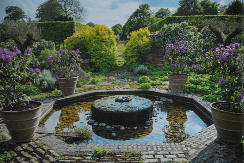 The central pool of the Terrace Garden with pots of Rhododendron 'Alfred'