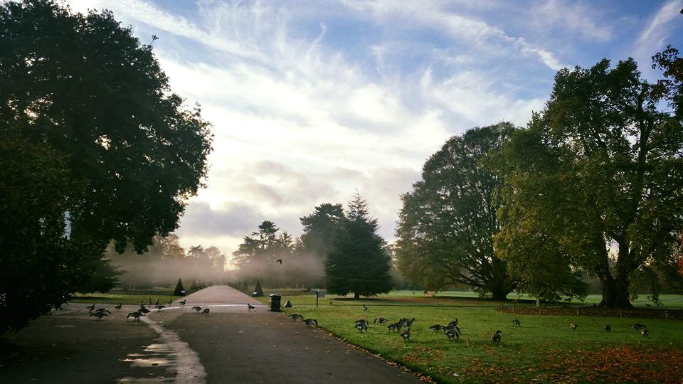 A view of Kew Gardens courtesy of Carlos Magdalene