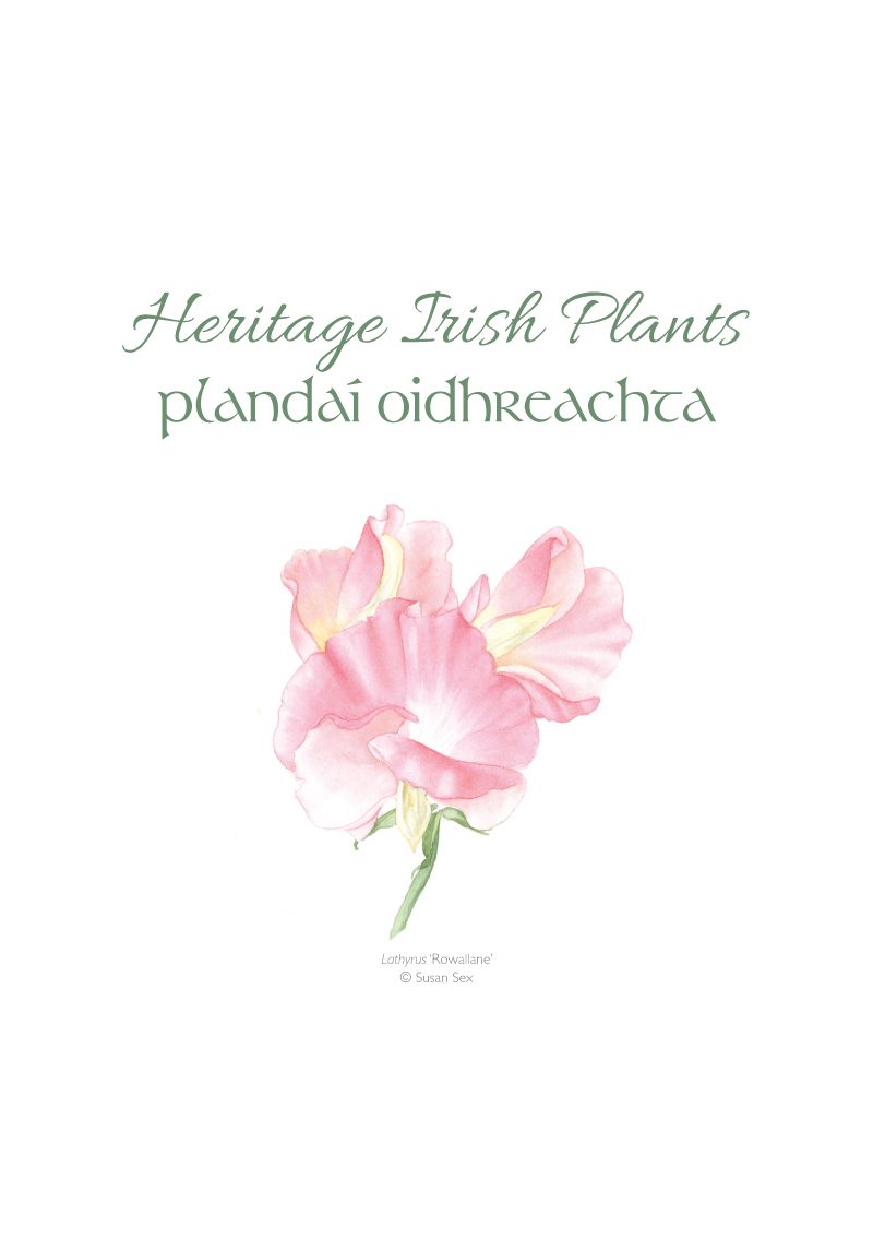 Heritae Irish Plants Publication Brochure 1