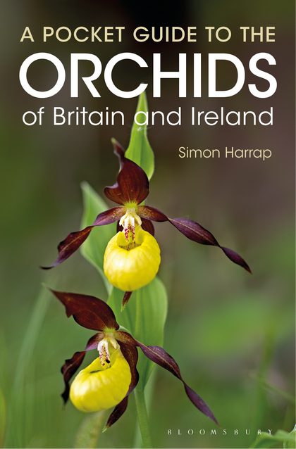 orchids-simon-harrap