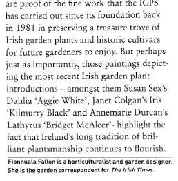 Irish Arts Review 3