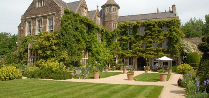 Trematon Castle Archives Irish Garden Plant Society