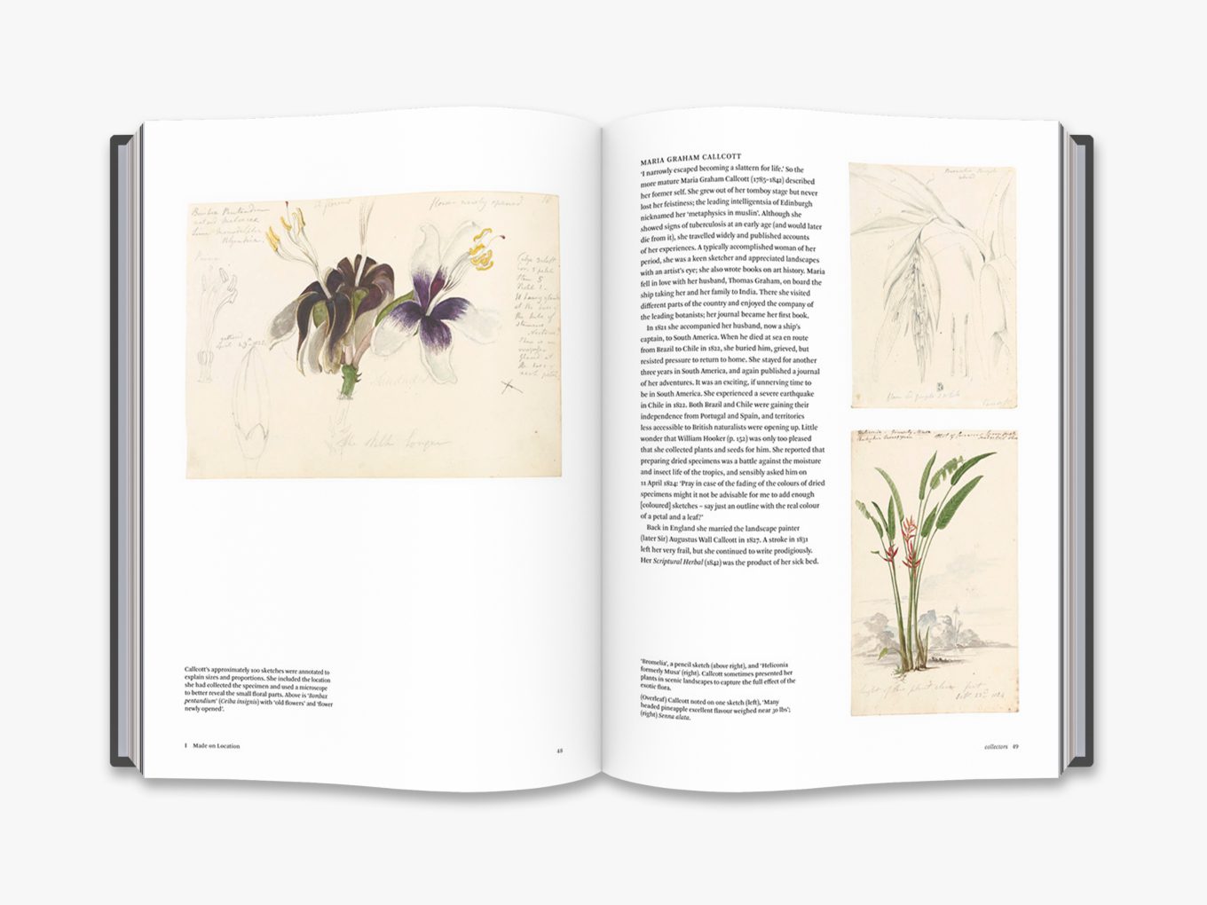 Botanical Sketchbooks 3