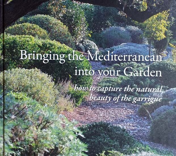 Bringing The Mediterranean Into Your Garden Olivier Filippi Irish Garden Plant Society