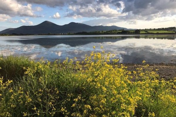 AGM 2018 Mourne Mountains by Jenny Constable (3)