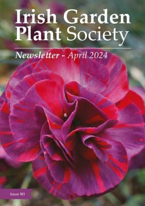 April-2024-Newsletter.jpg