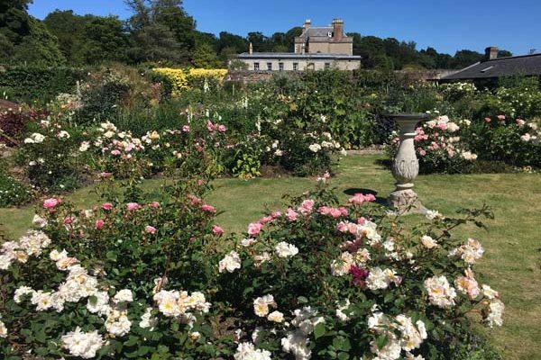 Rose garden within the walled garden with the 18th century Palladian mansion in the distance