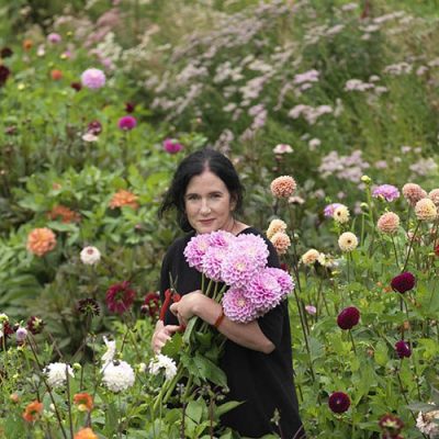 Fionnuala Fallon in her flower farm picking dahlias. Photo Credit Richard Johnston