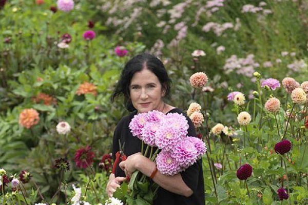 Fionnuala Fallon in her flower farm picking dahlias. Photo Credit Richard Johnston