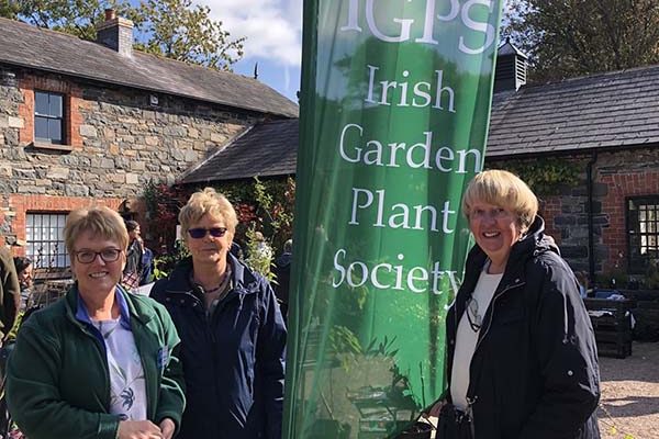 ROWALLANE PLANT SALE FROM MAEVE BELL 20181004