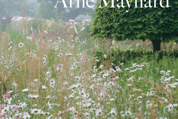 ARNE MAYNARD COVER