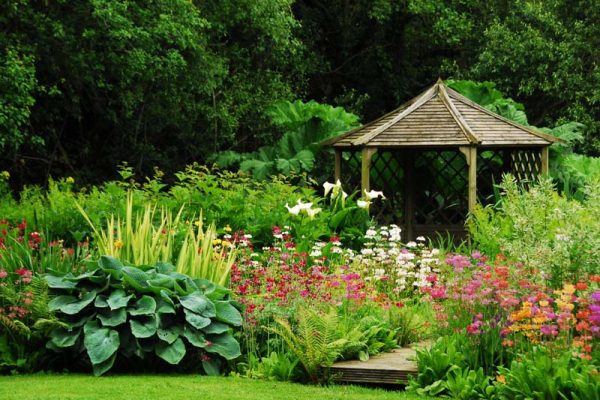 Such a perfect planting with a wonderful selection of primulas